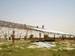 saJWare Dairies Shed #1 roof installation in progress