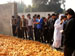 Students looking at corn that is to be used for producing easily digestible ration for calves.