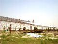 saJWare Dairies shed construction photo thumbnail