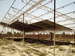 saJWare Dairies Shed #1 roof installation in progress