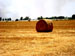 saJWare Dairies conducts a round baling demonstration