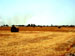 saJWare Dairies conducts a round baling demonstration