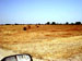 saJWare Dairies conducts a round baling demonstration