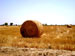 saJWare Dairies conducts a round baling demonstration