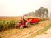 saJWare conducts a silage demonstration