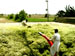 Silage preparation underway for the summer 2007 season