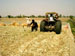 Silage preparation underway for the summer 2007 season