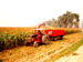 Fimaks Forage Trolley attached to a single row maize harvester